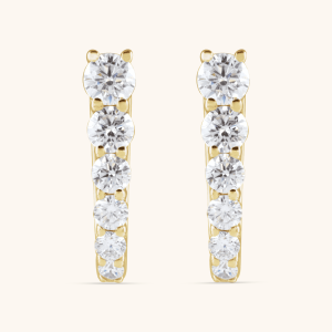 hoop earrings
