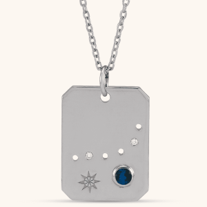 Zodiac Necklaces